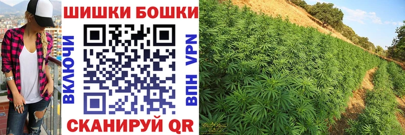 Каннабис SATIVA & INDICA  Чухлома 